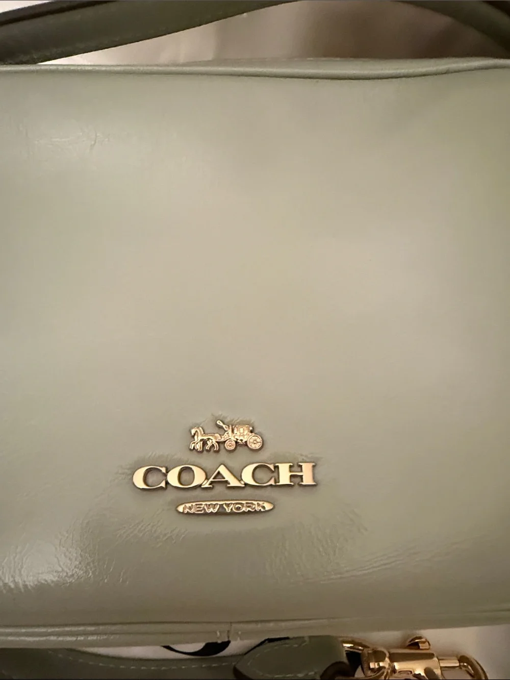 💚COACH NWT Mini Carey Pistachio Green Leather Shoulder Bag with Gold Hardware‎